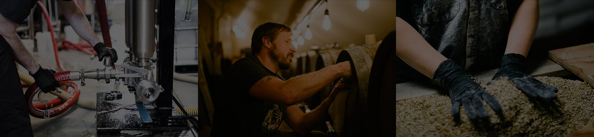 beer-header Three image banner. Male brewer turning valve on fermenter; John working in barrel room; Brewer's hands in malted barley