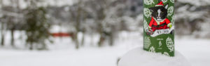 beer archive banner el jefe can in snow