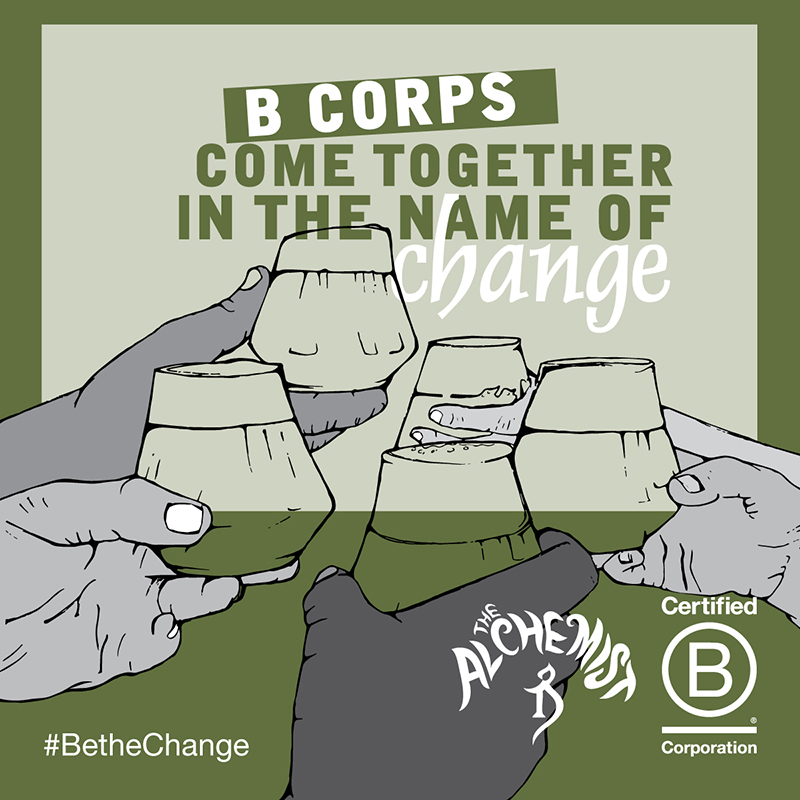 BCorps come together in the name of change. Illustration of multicultural hands clinking glasses.