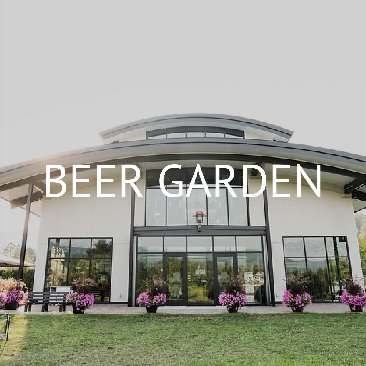 Click to learn more about the Outdoor Beer Garden at the Alchemist
