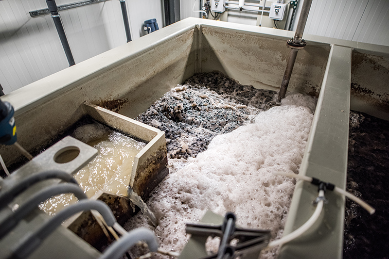 After being held in the settling tanks, the water is pumped into our pretreatment room to be strained some more.